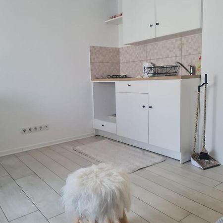 Cute Modern Apartman Zagreb Apartment Luaran gambar